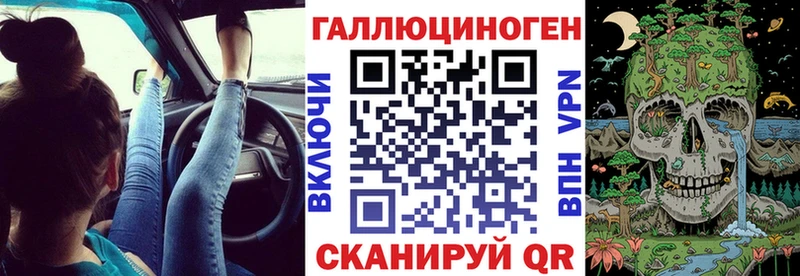 как найти наркотики  Порхов  Псилоцибиновые грибы мухоморы 